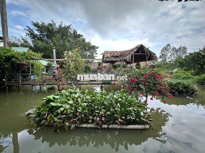TUYỂN DỤNG NHÀ HÀNG - ĐỦ VỊ TRÍ