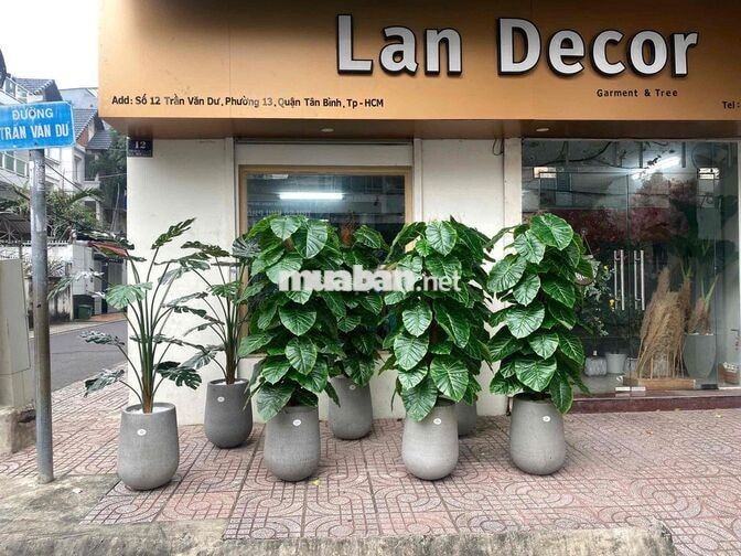 🌼 [TUYỂN NHÂN VIÊN BÁN HÀNG CA TỐI]