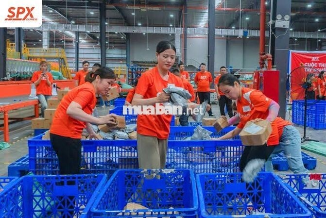 [PHÚ XUYÊN] SPX EXPRESS CẦN 4 NAM NHÂN VIÊN KHO