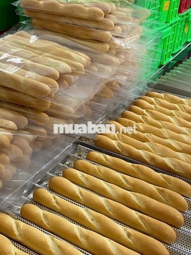 Tuyển nhân viên sản xuất bánh ca sáng 