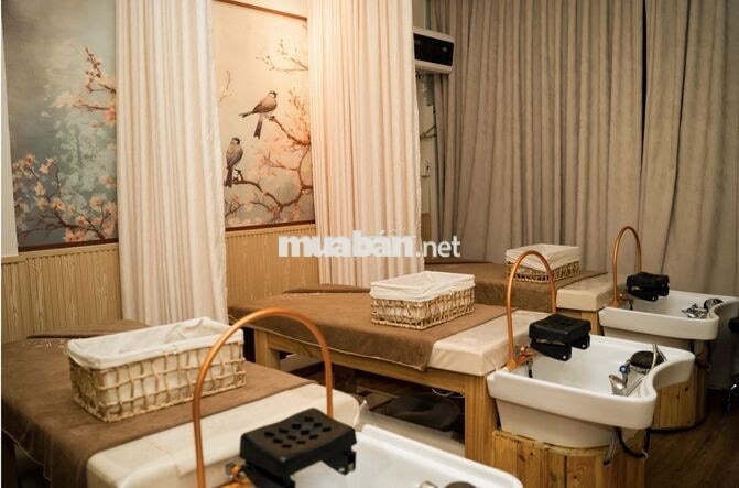 Spa Q5 tuyển 3 KTV gội đầu dưỡng sinh