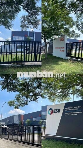 GẤP NHÂN VIÊN CHÍNH THỨC KHO SPX,KCN VSIP BẮC NINH