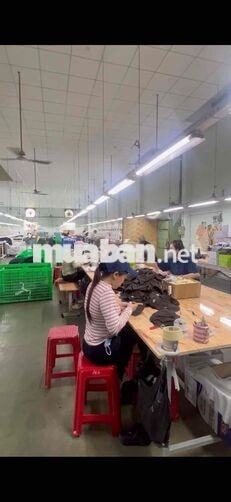 HYUP JIN - LDPT LƯƠNG TUẦN QUẬN 12