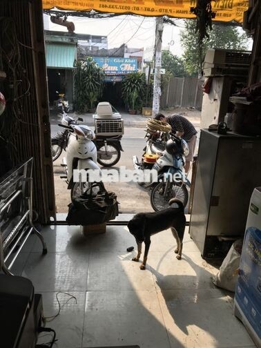 tuyển thợ phụ/học nghề điện lạnh
