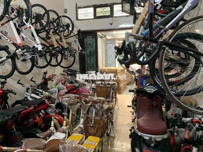 1 nam từ 23-33tuổi làm việc bán xe đạp