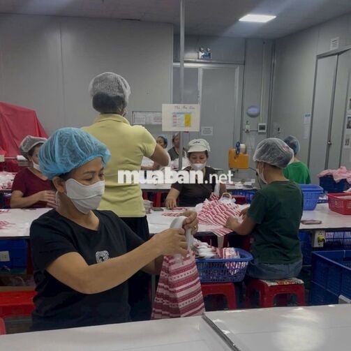 Việc làm nhàn nhất kcn