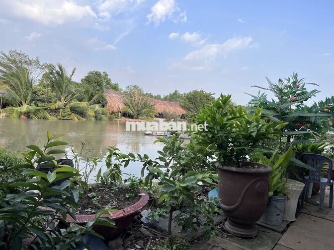 Tuyển nhân viên phục vụ bao ăn ở