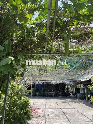 Tuyển nhân viên phục vụ bao ăn ở