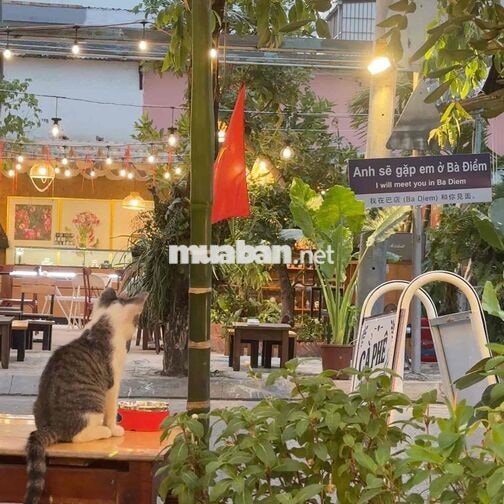 PHA CHẾ/PHỤC VỤ CÓ KINH NGHIỆM 28k/H