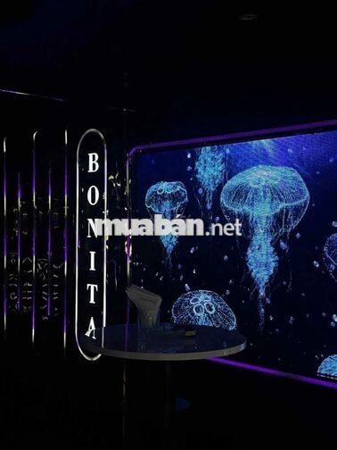 TUYỂN NỮ NHÂN VIÊN PHỤC VỤ QUẬN 1 (CA TỐI)