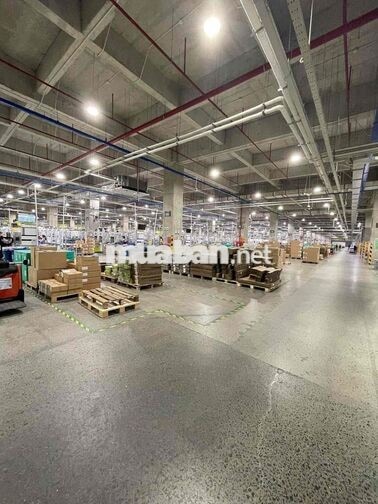 Việc làm nhanh chính thức và thời vụ củ chi