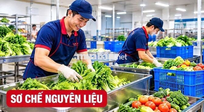 TUYỂN NHÂN VIÊN LÀM SUẤT ĂN CÔNG NGHIỆP BAO ĂN Ở