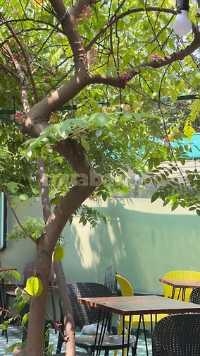 Tuyển nhân viên pha chế cho quán cafe Carambola