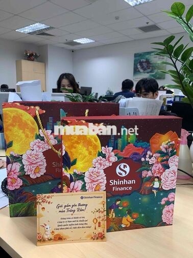 [SHINHAN] NVKD THU NHẬP 15-25TR (KO KN)