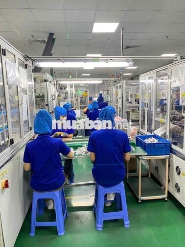Việc làm chính thức tuyển đến 50 tuổi