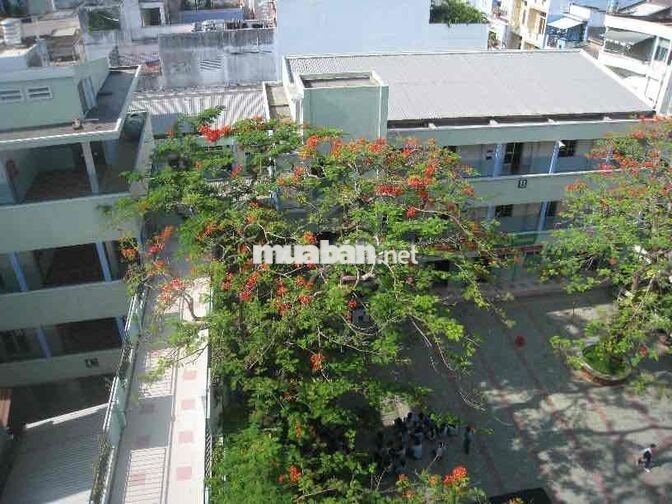 Bán căn tin trường THCS Đoàn Thị Điểm