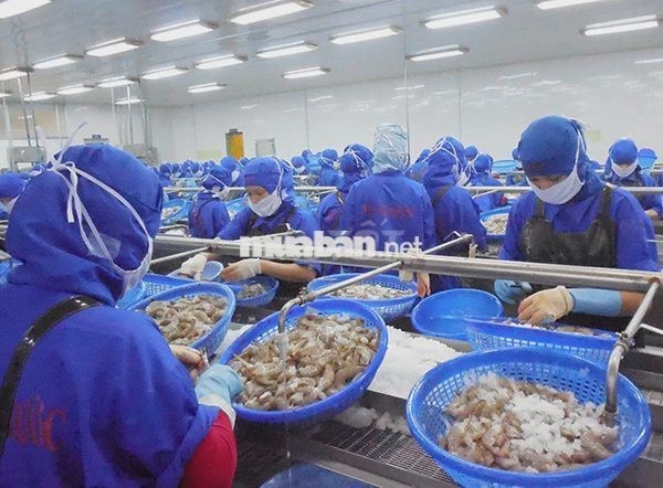 🔥 THỌ QUANG – ĐÀ NẴNG ĐANG TÌM VIỆC?