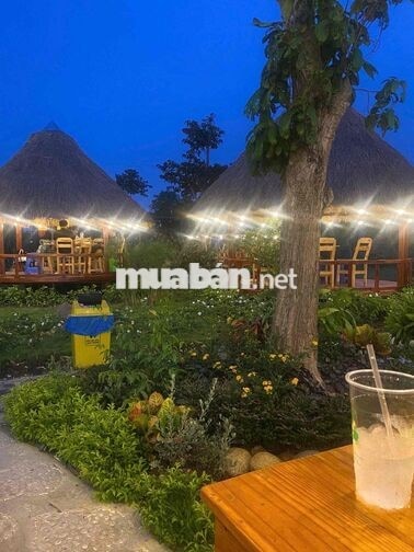 tuyển nhân viên phục vụ cho đầu tháng 10