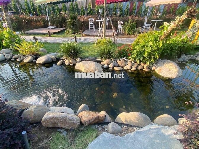 tuyển nhân viên phục vụ cho đầu tháng 10