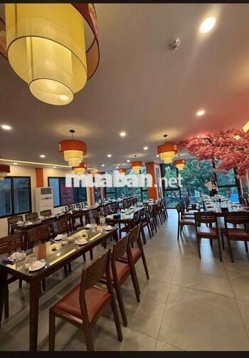 [BAO ĂN Ở, KO CẦN KN] 9 NV LẨU CUA ĐỒNG NAM TỪ LIÊ
