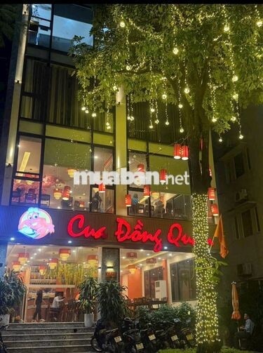 [BAO ĂN Ở, KO CẦN KN] 9 NV LẨU CUA ĐỒNG NAM TỪ LIÊ