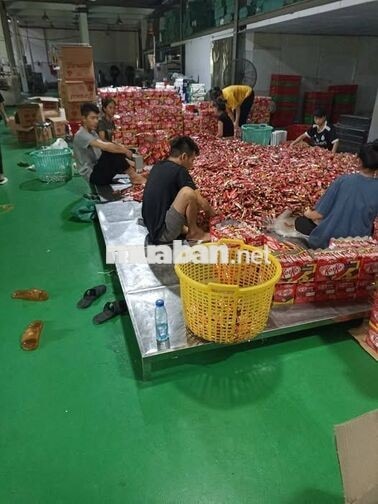 [BAO ĂN Ở, THỜI VỤ] NHÂN VIÊN LÁI XE, ĐÓNG HÀNG, B