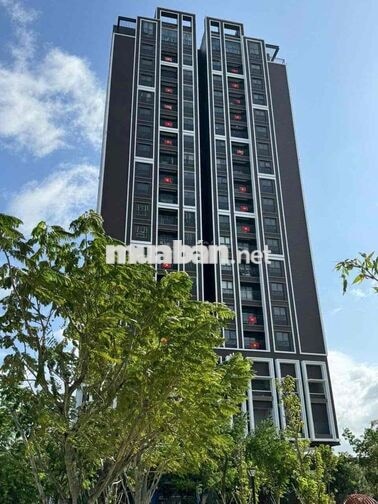 TUYỂN DỤNG ĐI LÀM NGAY