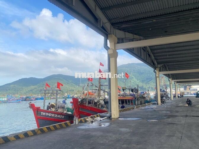 🐟 THỌ QUANG – CẦN VIỆC LÀ CÓ VIỆC! 🐟