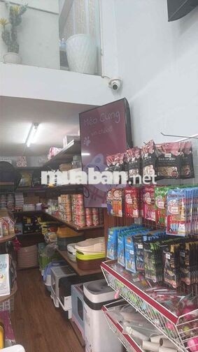 tuyển nhân viên chăm sóc, dọn dẹp phòng mèo