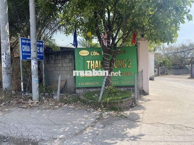 Cần tuyển nhân viên môi trường