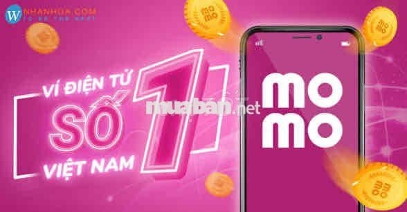 Nhân Viên Phát Triển Thị Trường SME MoMo
