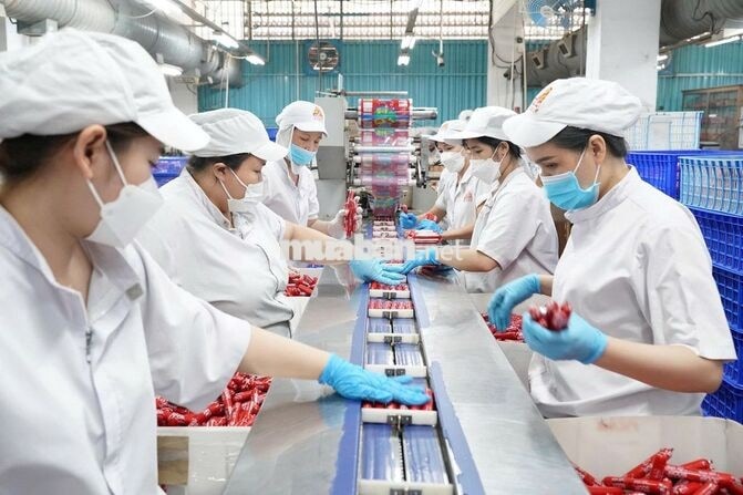 CN SẢN XUẤT VISSAN_BAO CƠM_LƯƠNG TUẦN_7tr5-10tr