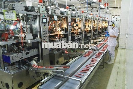 CN SẢN XUẤT VISSAN_BAO CƠM_LƯƠNG TUẦN_7tr5-10tr
