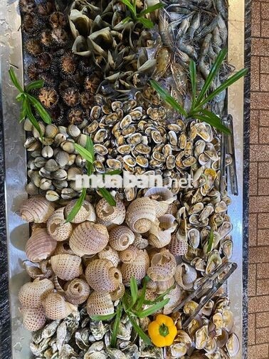 Buffet Nhà Bơ Tuyển Dụng