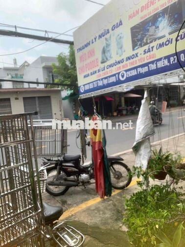 Tuyển Nhân viên nữ cộng tác viên Cửa Hàng Thú Cung