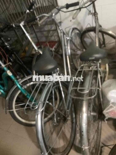 Tuyển Nhân viên nữ cộng tác viên Cửa Hàng Thú Cung