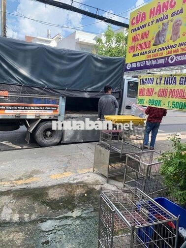 Tuyển Nhân viên nữ cộng tác viên Cửa Hàng Thú Cung