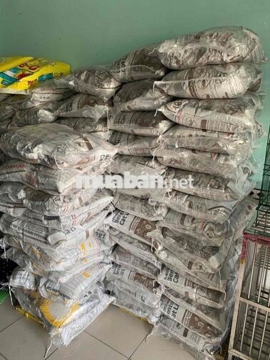 Tuyển Nhân viên nữ cộng tác viên Cửa Hàng Thú Cung
