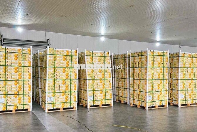 TUYỂN DỤNG 02 NHÂN VIÊN KHO TRÁI CÂY NHẬP KHẨU
