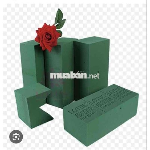 TUYỂN NAM NỮ CHĂM SÓC KHÁCH HÀNG ✅LƯƠNG CAO