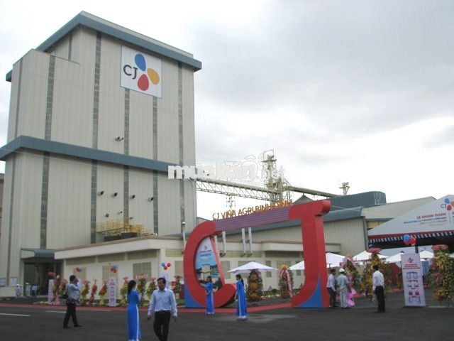 CÔNG TY BÁNH NGỌT CJ TUYỂN NAM NỮ LĐPT CHÍNH THỨC