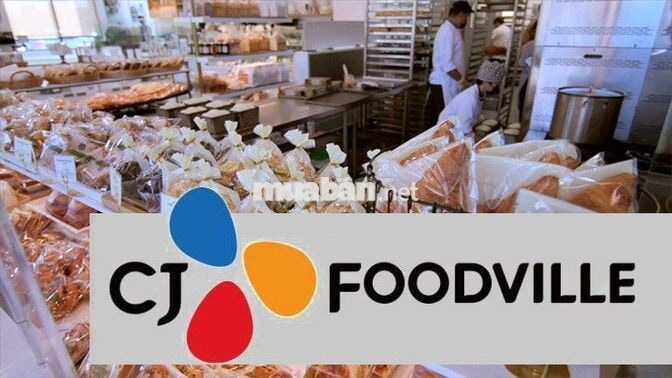 CÔNG TY BÁNH NGỌT CJ TUYỂN NAM NỮ LĐPT CHÍNH THỨC