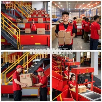 KHO JnT TUYỂN NHÂN VIÊN PHÂN LOẠI 