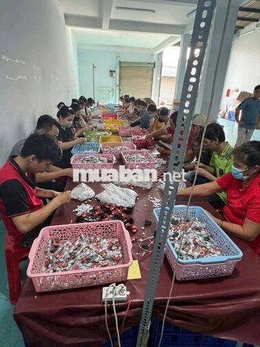 Tuyển 10 LĐPT nam/nữ - Lương tuần