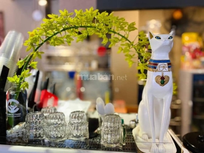 NAVY COFFFEE -TÂN BÌNH TUYỂN NV PHỤC VỤ