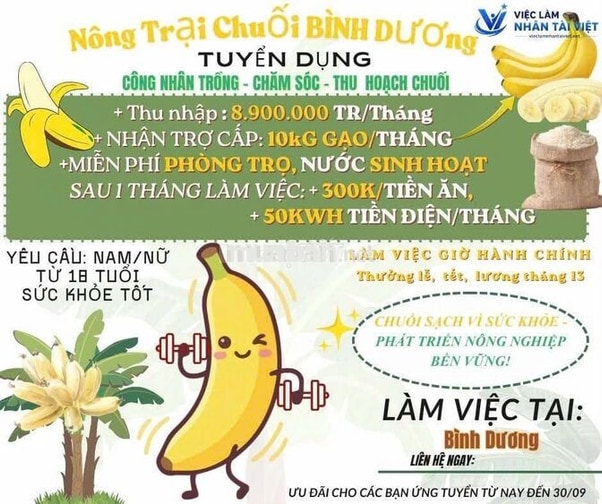 [BAO ĂN Ở, LÀM NGAY] NHÂN VIÊN NÔNG TRẠI BÌNH DƯƠN