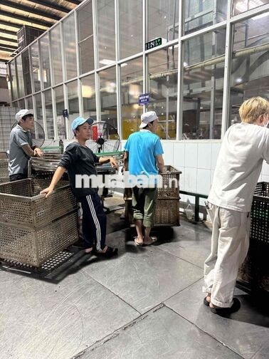 cần 40 anh chị em làm sản xuất công ty nước ngọt
