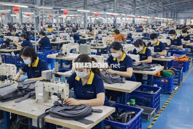 [CÓ THƯỞNG, FREE ĐÀO TẠO] 100 CÔNG NHÂN MAY BÌNH D