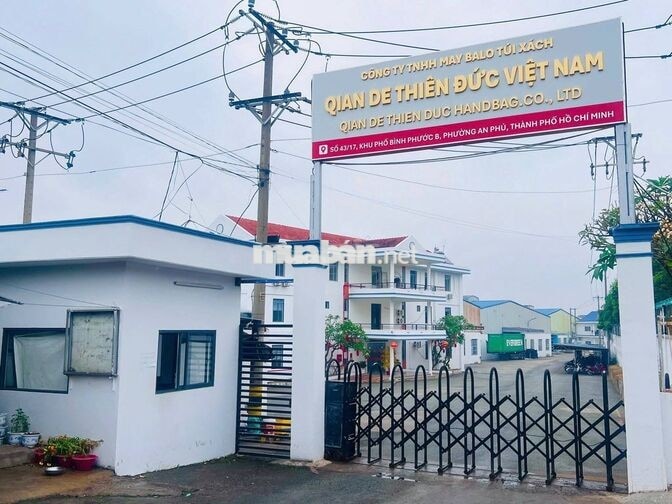 [CÓ THƯỞNG, FREE ĐÀO TẠO] 100 CÔNG NHÂN MAY BÌNH D
