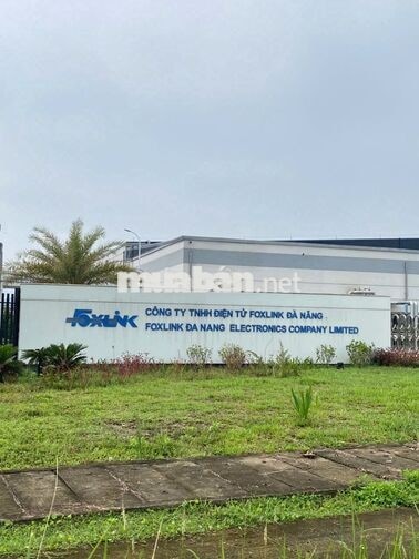 🔥 AI CHƯA VÀO FOXLINK THÌ TRANH THỦ ĐỢT NÀY NHA! 🔥